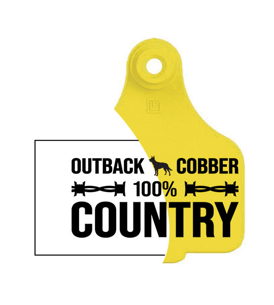 Logo Vector & Setup Fee