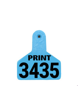 Z Tag 2 Piece Medium Male