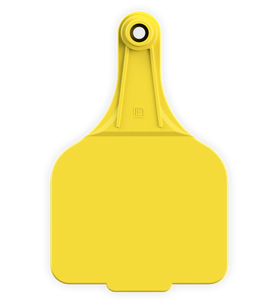 Leader Super Maxi Female - Image 5