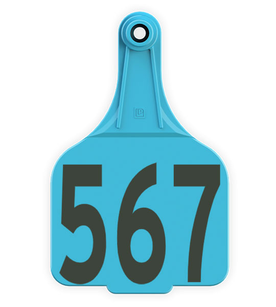 Leader Super Maxi Female