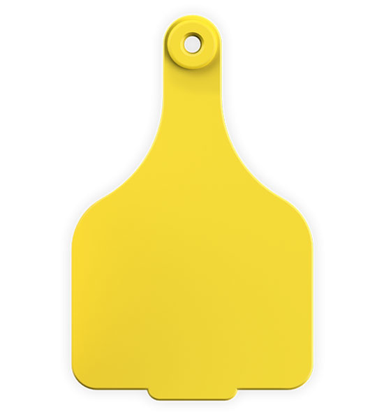 Leader Super Maxi Female - Image 4