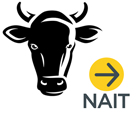 NAIT Cattle