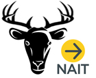 NAIT Deer