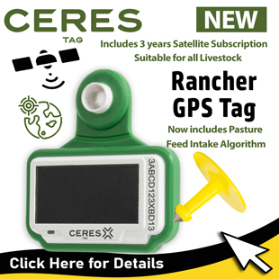 GPS Tags