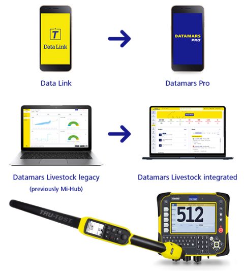 Datamars Pro 4Tags co nz datamars-pro-4tags-co-nz