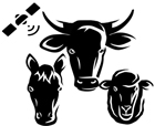 GPS Tracking Tags